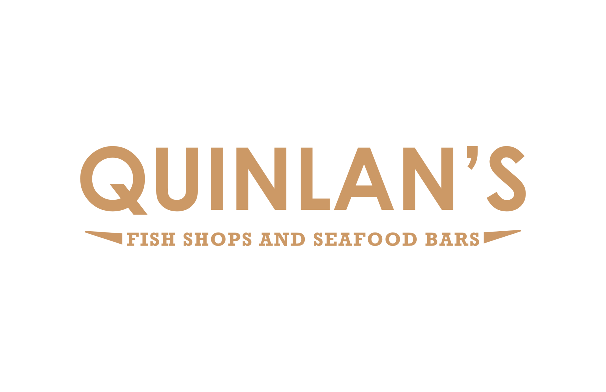 Sponsor Image